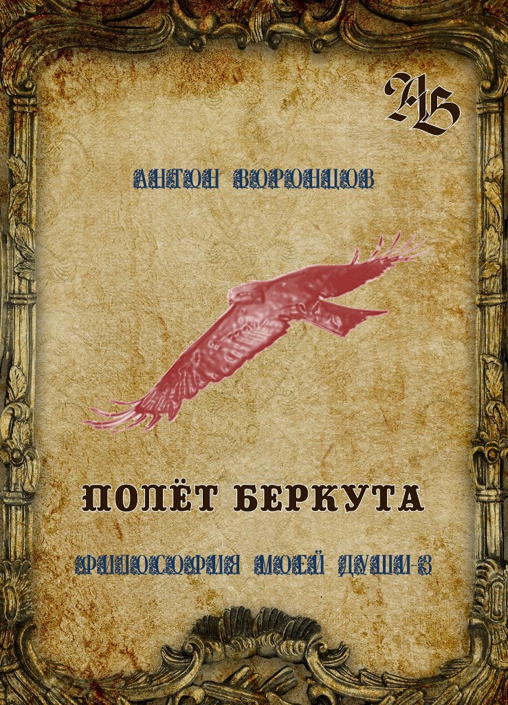 Полёт беркута